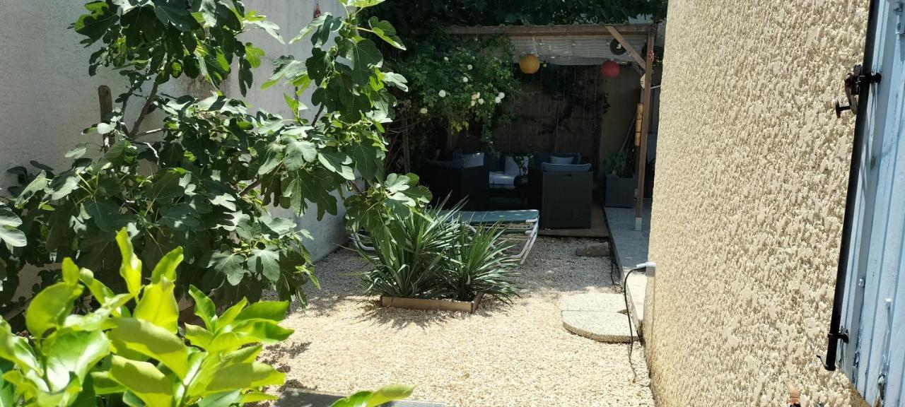 Studio Pour Location Vacances A La Semaine 亞維農 外观 照片